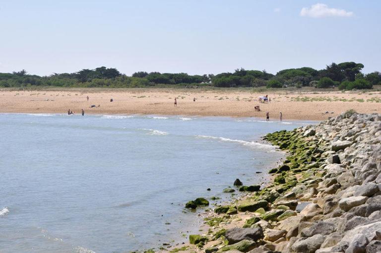 A 80M De La Plage De Plaisance Pour 8 Personnes Saint-Georges-d'Oleron Exterior foto